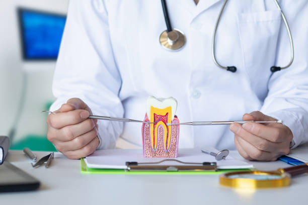 Best Walk-In Emergency Dentist in Steubenville, OH